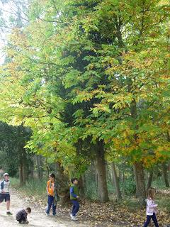 Circular por Estenas