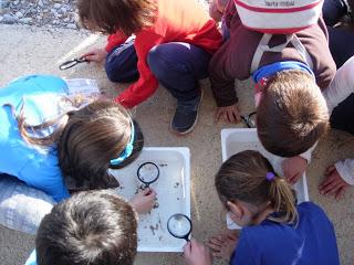 Jornada inspección de ríos