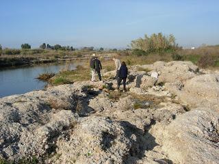 Jornada inspección de ríos