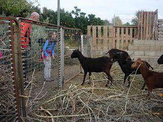 Ruta circular en Navajas