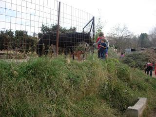 Ruta circular en Navajas