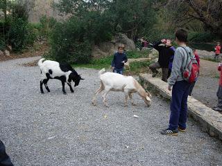 Ruta circular en Navajas