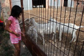 Vacaciones en el Rincón de Ademuz con niños