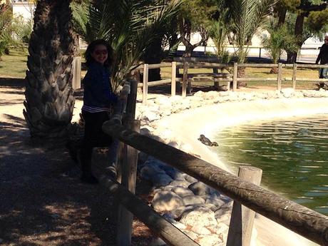 tortugas, foto del día, Universidad Alicante, blog diario, solo yo, blog solo yo, 