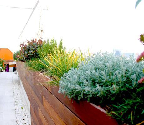 Terraza Jardín para el Mes Mundial de la Arquitectura del Paisaje