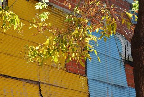 Los colores de La Boca