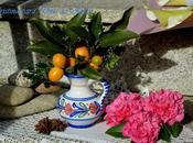 Prácticas para mejorar nuestro sentido olfato ensayo sobre pedantería rosera ver. 2.0)