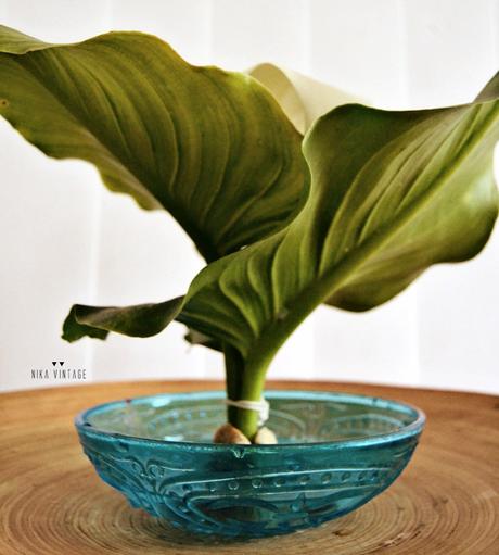 Diy floral en el que haremos un arreglo o un centro oriental, ikebana sencillo con una preciosa Cala