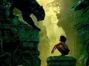 libro selva'