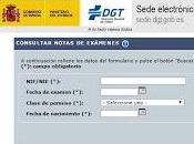 Consulta nota examen teórico práctico conducción