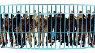 LAS OBRAS DE MISERICORDIA EN EL PERÚ 8: Redimir al cautivo y visitar al preso