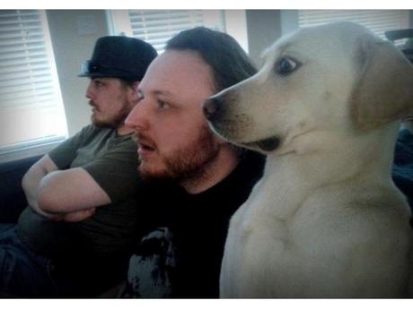 Estos son los 18 perros más asustadizos de Internet