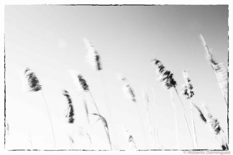 Cuando se haya ido, 17 de abril de 2016