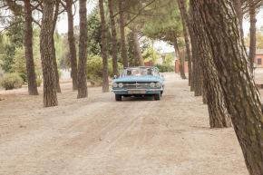 colores-de-boda-organización-bodas-068