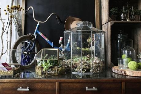 FLORISTERÍA POPPY... NOS VAMOS DE 