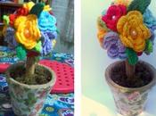 Aprendiendo secretos Fotografía: