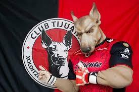 Así esta la tabla de porcentajes para 2016-2017