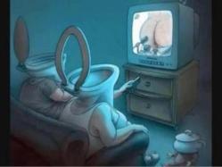 El verdadero gobierno de España es la televisión