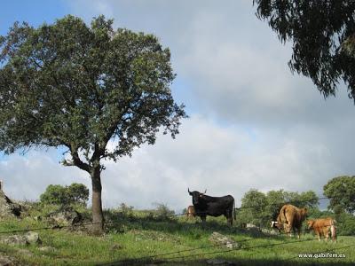 V Ruta del Contrabando