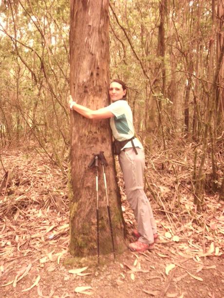 CAMINO DE SANTIAGO: O PEDROUZO-LAVACOLLA/VILAMAIOR. (CAMINO FRANCÉS)