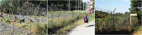 CAMINO DE SANTIAGO: O PEDROUZO-LAVACOLLA/VILAMAIOR. (CAMINO FRANCÉS)