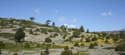 Parques Naturales de España III