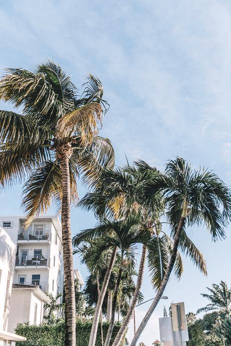 Flamingo Miami-Pink_Dress-Marni_Sandals-Outfit-Collage_On_The_Road-Street_Style-25