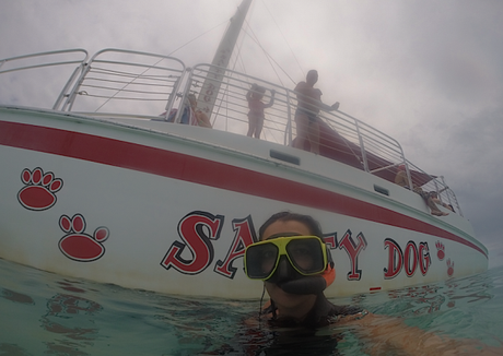 Snorkel en El Caribe con Salty Dog Catamarán. Puerto Rico.