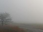 Neblina