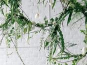 Transmitir frescura naturaleza