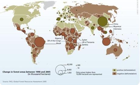 Evolución de las áreas forestales mundiales de 1990 a 2005