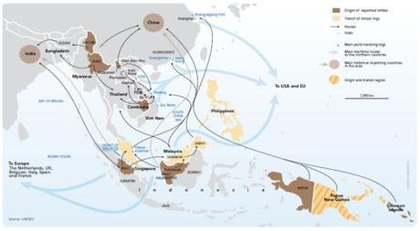 Rutas de tráfico ilegal de madera desde Asia al mundo