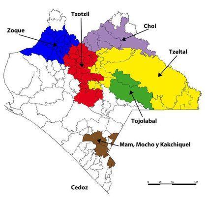 Reductos militares del EZLN. Fuente: http://www.cedoz.org/site/galerias/210.jpg