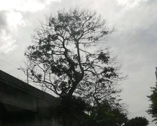 En recuerdo de Abril...