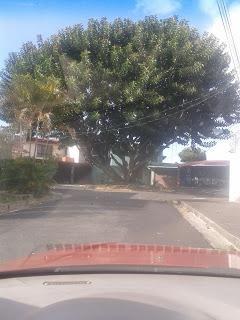 En recuerdo de Abril...