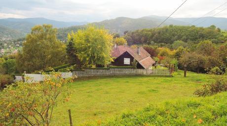 Munster, un paseo por el monte