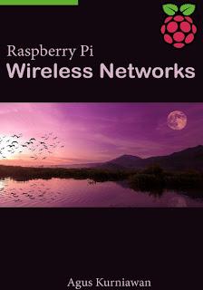 RASPBERRY PI WIRELESS NETWORK