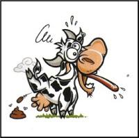 Envía una mierda de regalo