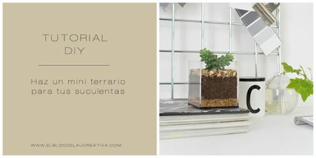 DIY | Haz un mini terrario para tus suculentas