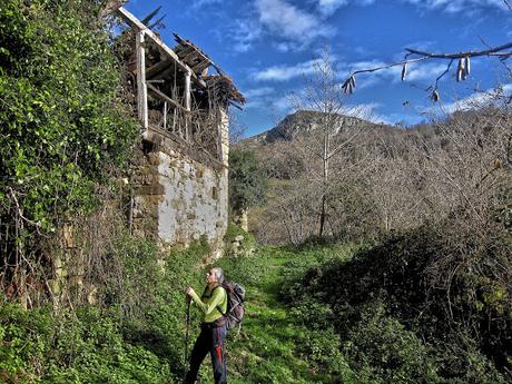 Pico Facéu desde Omedal