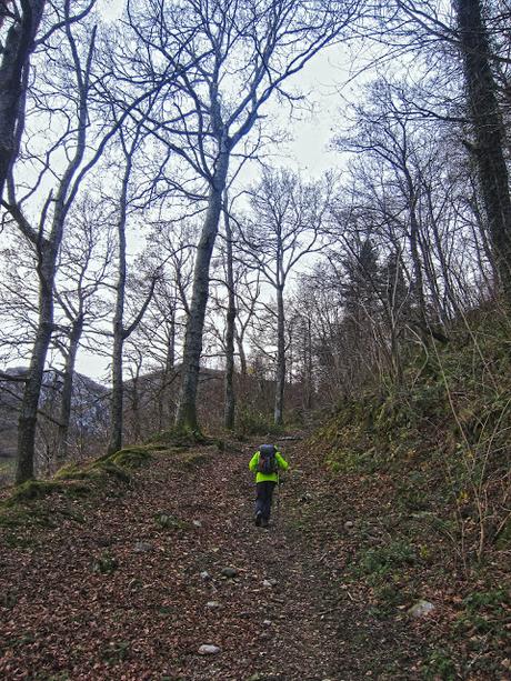 Pico Facéu desde Omedal