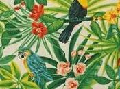 Para estar última: color+étnico+loros