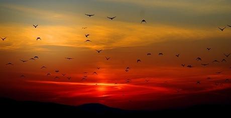 Hoy Es El Mejor Día De Mi Vida... today pics