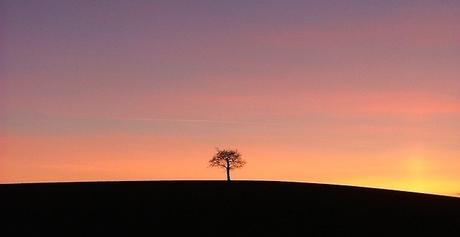 Hoy Es El Mejor Día De Mi Vida... today pics