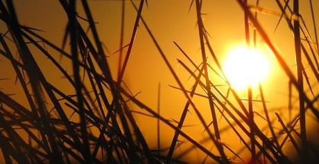 Hoy Es El Mejor Día De Mi Vida... today pics