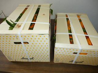 Dos cajas de naranjas