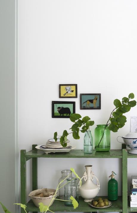 LA ELECCIÓN DE PLANTAS COMO RECURSO CROMÁTICO... LA ELECCIÓN DE PLANTAS COMO RECURSO CROMÁTICO...