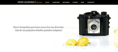 diseño web de miss agenda limon por estibaliz lopez