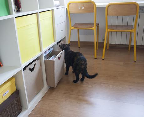 ¡Qué fácil es ordenar con cajas! ¡Qué fácil es ordenar con cajas!