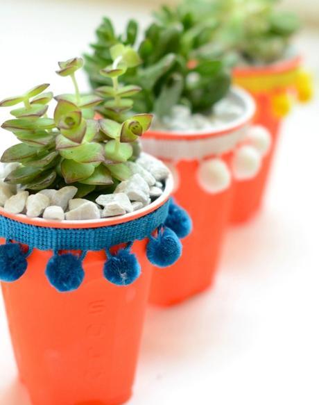DIY macetas para suculentas con vasos de plástico